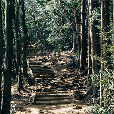 波西米亚狂想曲vr游戏下载