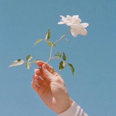 滚滚高尔夫手机游戏下载